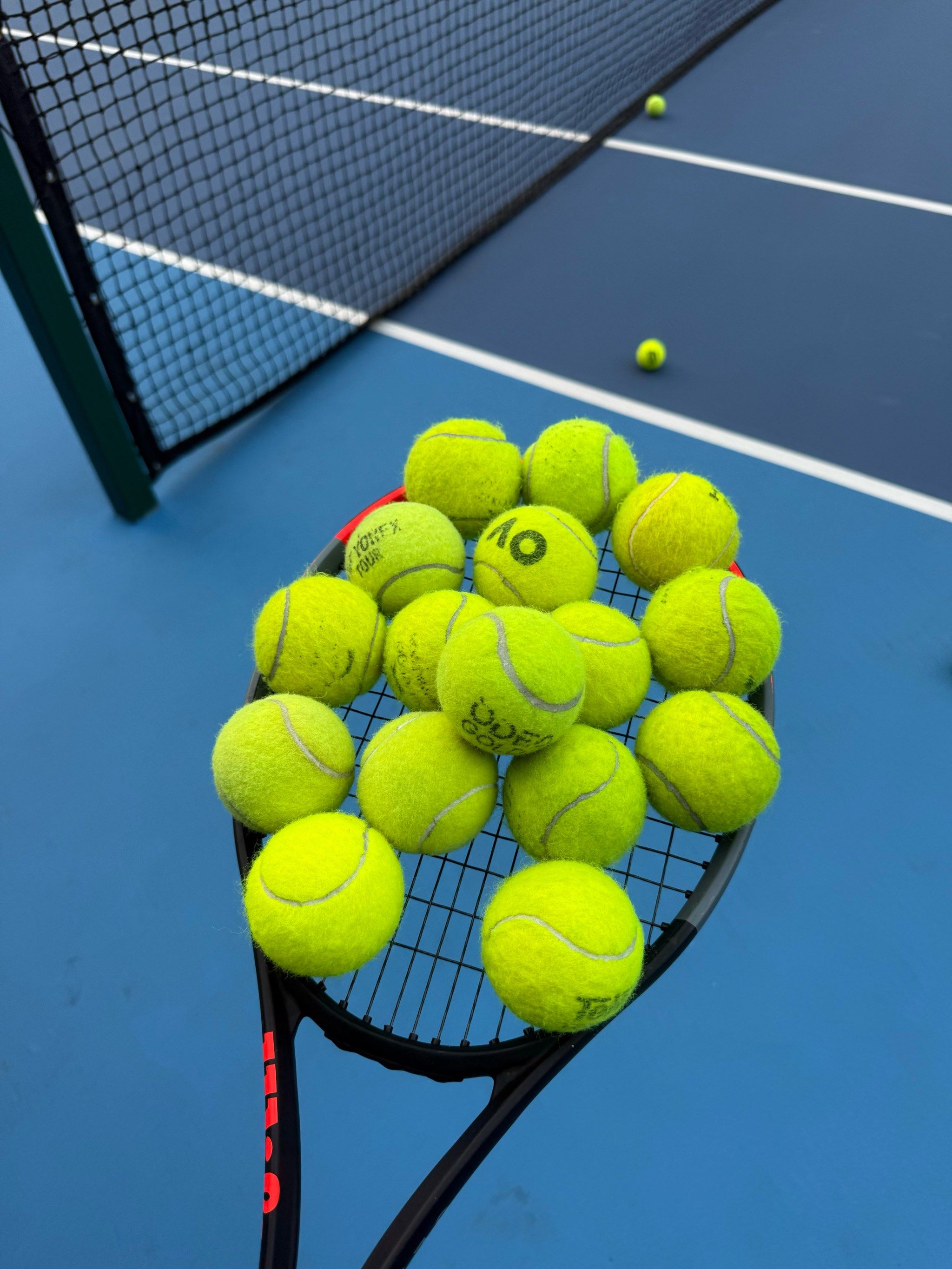 从而在面对 从而在面对