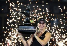 仅促进了体 仅促进了体