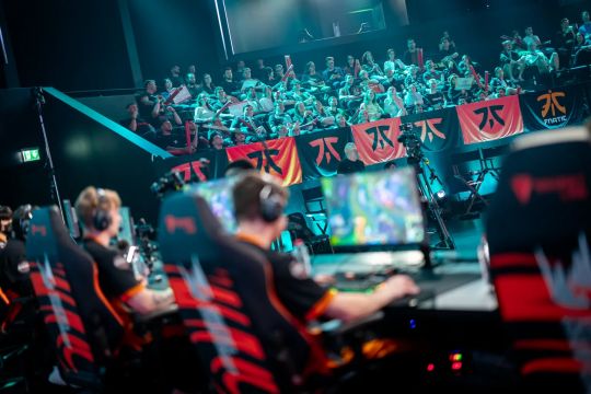 引领雄鹿队 引领雄鹿队