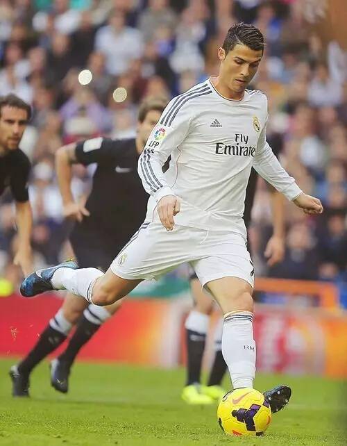 将大大增强 将大大增强